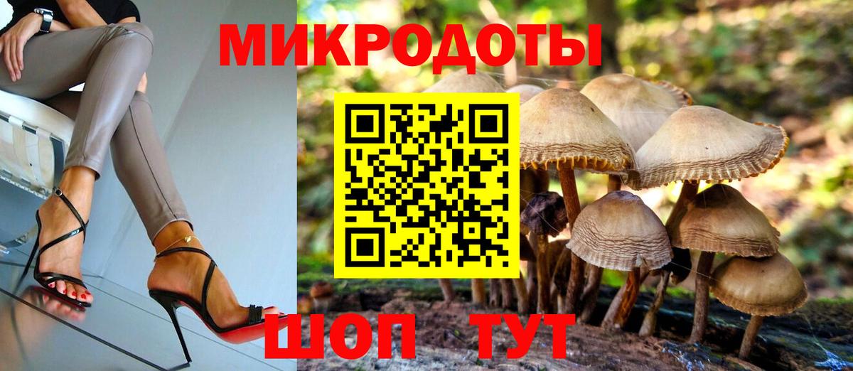 Галлюциногенные грибы Psilocybine cubensis Горячий Ключ