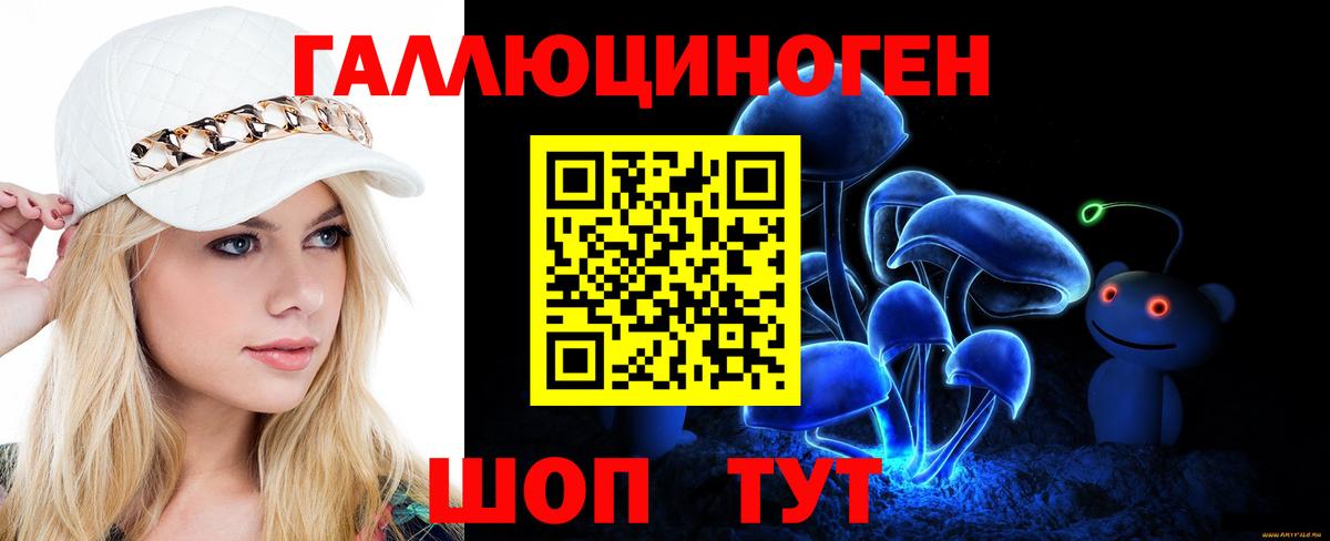 Горячий Ключ  Галлюциногенные грибы Cubensis  Вход с VPN 